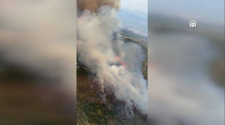 Aydın’ın Çine ilçesinde orman yangını 2